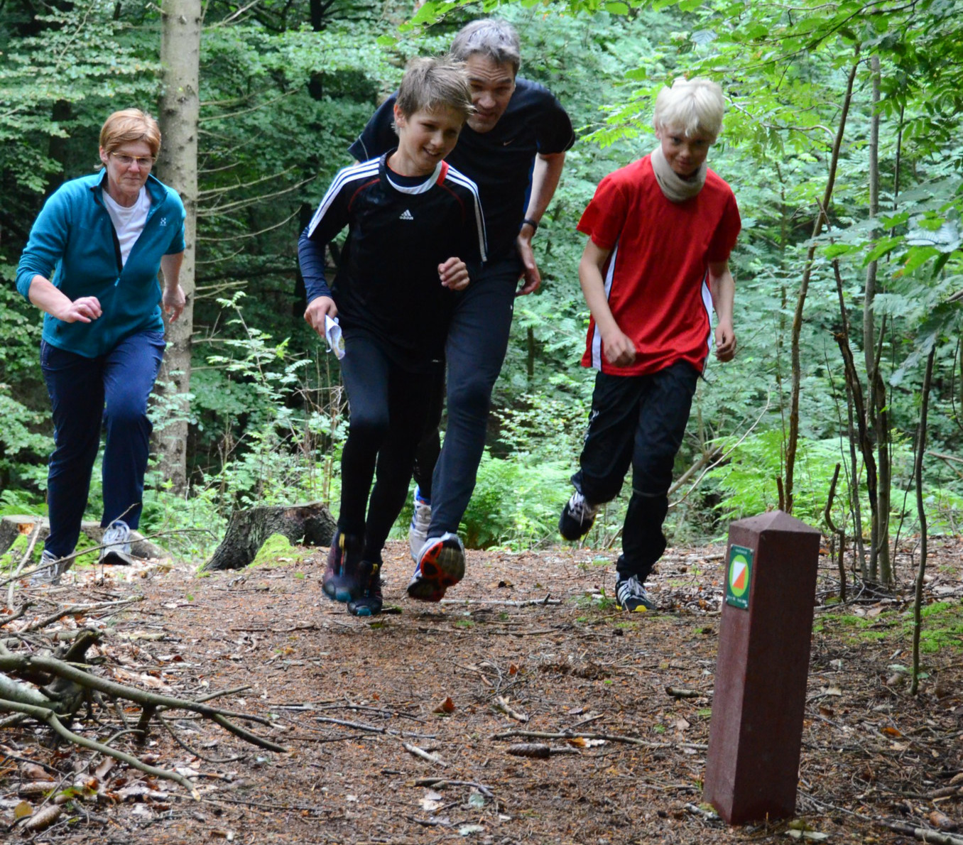 14501291591 56f821892e k 1